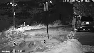 Coyote sneaks past smoking man