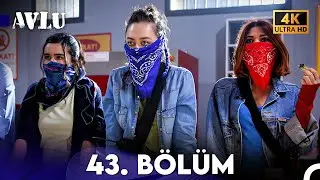 Avlu 43. Bölüm (4K)