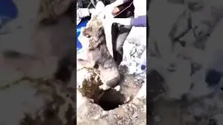 7 августа 2024 г.