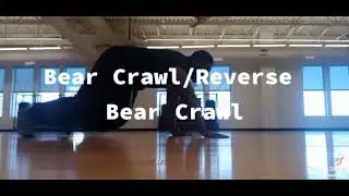 Bear Crawl and Reverse Bear Crawl