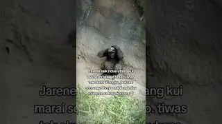 Pusing pala barbie