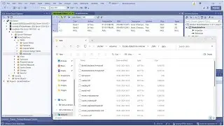 MS SQL Server, Docker, Azure Data Studio,  NET 8, and EF Core