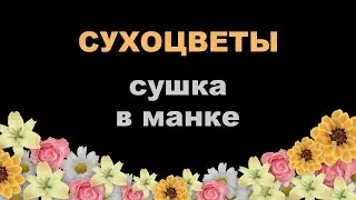 Как сушить цветы для эпоксидной смолы в манке. Сушим цветы сухоцветы. Объёмная сушка цветов в манке