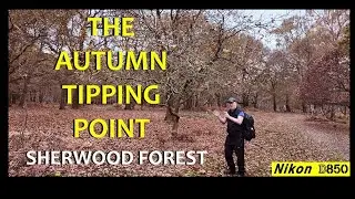 Has the tipping point arrived in Sherwood Forest Nottinghamshire.#autumn #sherwoodforest #nikond850
