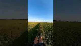 Relaxing paramotor #chill #paramotor #calming #views