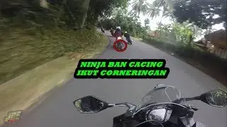 NINJA Ban Cacing ikut Corneringan Mantaaap !! | #39