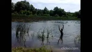 Натуризм Харьков. Кутузовка. 18.06.2021.