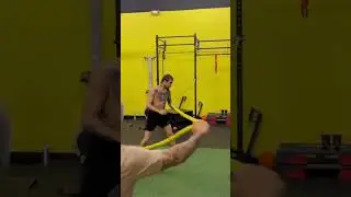 Sean O'Malley Movement Training 2024