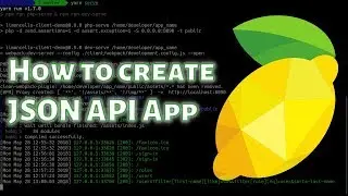 How to create JSON API Application