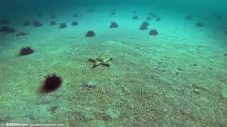 mirtimelapse.ru. Пляж Баконга