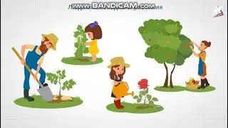 Окружающий мир 3 класс. Солнце, растения и мы с вами