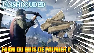 ENSHROUDED | RÉCOLTER DU PALMIER [TUTORIEL] !!