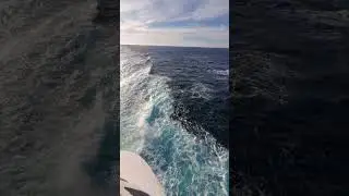 Think I spent an hour just staring ... #shorts #vacation #travel #oceanwaves #ocean