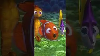 Finding Nemo Theory