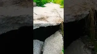 Дорога на даче