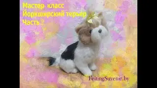 Мастер- класс йоркширский терьер часть 2