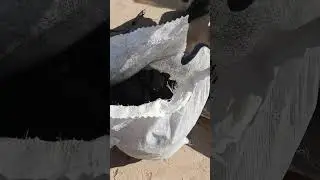 Готовимся к морозу. Волгоградская область. Погромное.