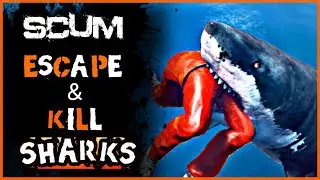 SCUM | How to escape & KILL a Shark !