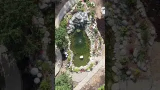 Купальный пруд , это декоративный пруд и бассейн в одном флаконе