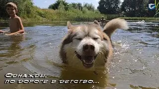 Однажды, по дороге в детство...
