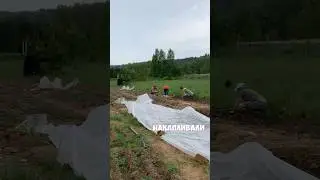 Из поля в сад 7 серия