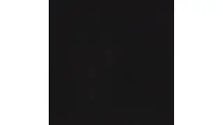 Стрельцы