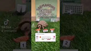 Italia-Malta 