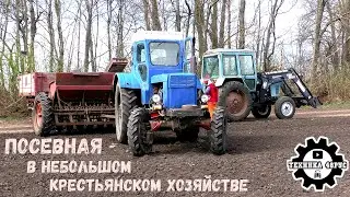 Ветераны в деле! Трактор Т-40АМ с сеялкой СЗ-3,6. Посевная-2024 в небольшом крестьянском хозяйстве