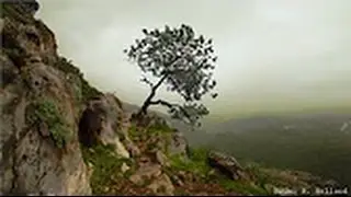 Khmer Knowledge forever/learn about life,