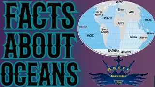 Interesting Facts about oceans🌊