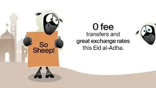0 fee on all transfers