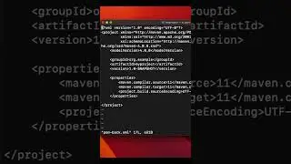 IntelliJ Idea command line script options     