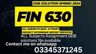 fin630 GDb solution Spring 2024