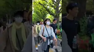 Sunny Spring Day in Tokyo. Noh Theater. Flowers. People in Japan #shorts