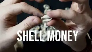 SHELL MONEY!