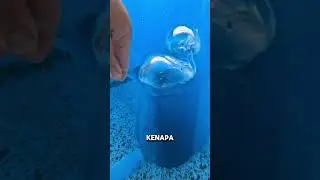 Jokes Bapak - bapak receh kocak dan bikin ngakak 😁 #jokes #comedy #lucu #shortvideos