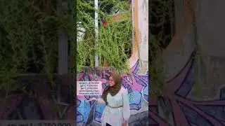 Biaya SPI FT Untag Semarang
