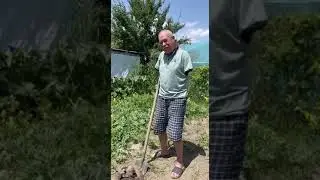 САМЫЕ ЛУЧШИЕ ИГРУШКИ 🤣 