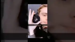 смешные видео про животных #cat #memes