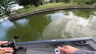 Summer topwater Bite