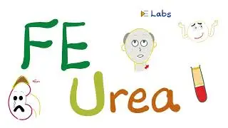 Fractional Excretion of Urea (FEUrea) - Kidney Function Tests - Nephrology Labs