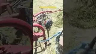 Farmer Primus out on the mighty David Brown