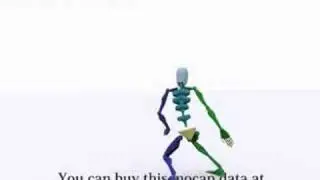 pay motion capture data Karate  -suimengeri-