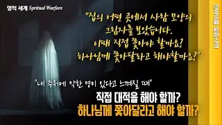 [영적 세계]  