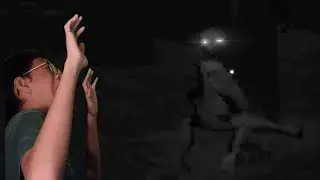 Ho are you? | SOMETHING IN THE WOOD