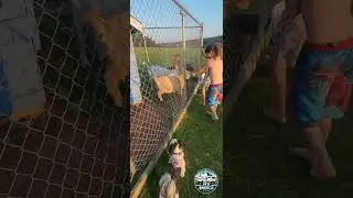 A kids paradise! 🤸