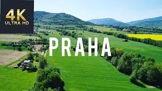 Yellow fields in Praha.