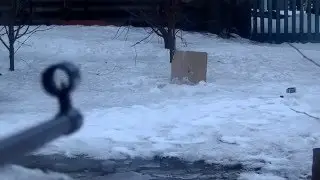 Сегодня я пострелял из винтовки.