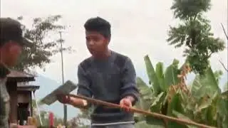 Laitui ciamnuih
