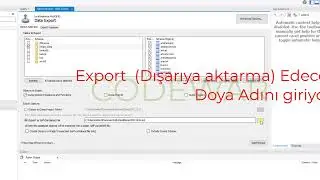 Workbench'te Mysql Database Yedekleme